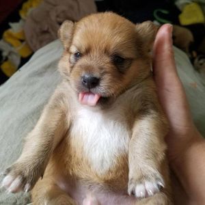 Meet your Posher, Debbie